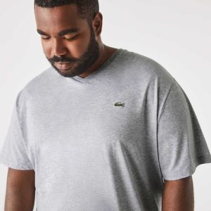 Lacoste Big Fit V-Neck Jersey Grå | 8273-FHICO