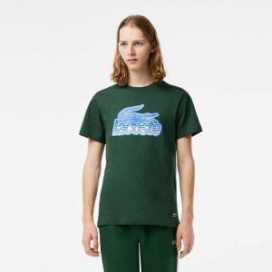 Lacoste Bomull Jersey Print Grønn | 7801-JIUWN