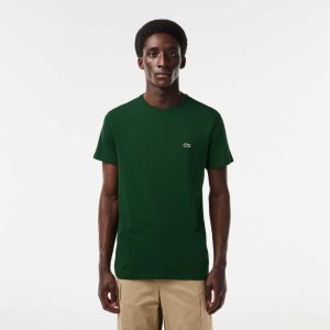 Lacoste Crew Neck Pima Bomull Jersey Grønn | 3157-CLTMY