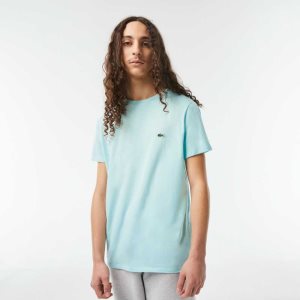 Lacoste Crew Neck Pima Bomull Jersey Mint | 7321-JFRXO