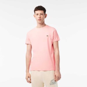 Lacoste Crew Neck Pima Bomull Jersey Rosa | 2604-SDOGE