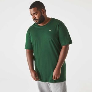 Lacoste Høye Fit Pima Bomull Jersey Grønn | 9652-LWCJP