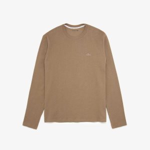 Lacoste Long Sleeve Lounge Lyse Brune | 0831-NQWDH