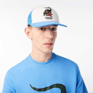 Lacoste Netflix Blå | 9830-STPUO