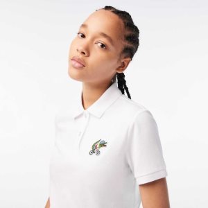 Lacoste Netflix Crocodile Multicolor | 2914-ORSAB