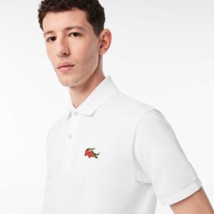 Lacoste Netflix Organic Bomull Multicolor | 6927-CSBDQ