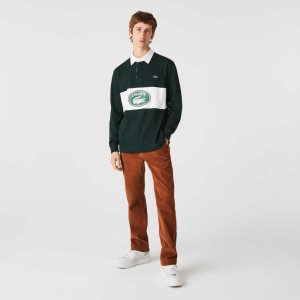 Lacoste Rett Fit Corduroy Chinos Brune | 1950-LBWSJ