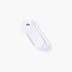 Lacoste SPORT Branded Stretch Bomull Low-Cut Hvite Grå | 4316-REAWV