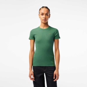 Lacoste Slim Fit Organic Bomull T-Shirt Khaki Grønn | 5206-PHSZV