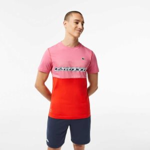 Lacoste Tennis x Daniil Medvedev Jersey Rosa Rød Blå | 8604-VZUOY