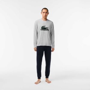 Lacoste Velvet Logo Long Pajama Set Marineblå Blå Grå Grønn | 0176-TGSYF