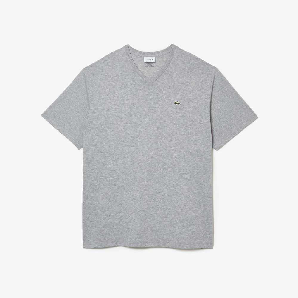 Lacoste Big Fit V-Neck Jersey Grå | 8273-FHICO