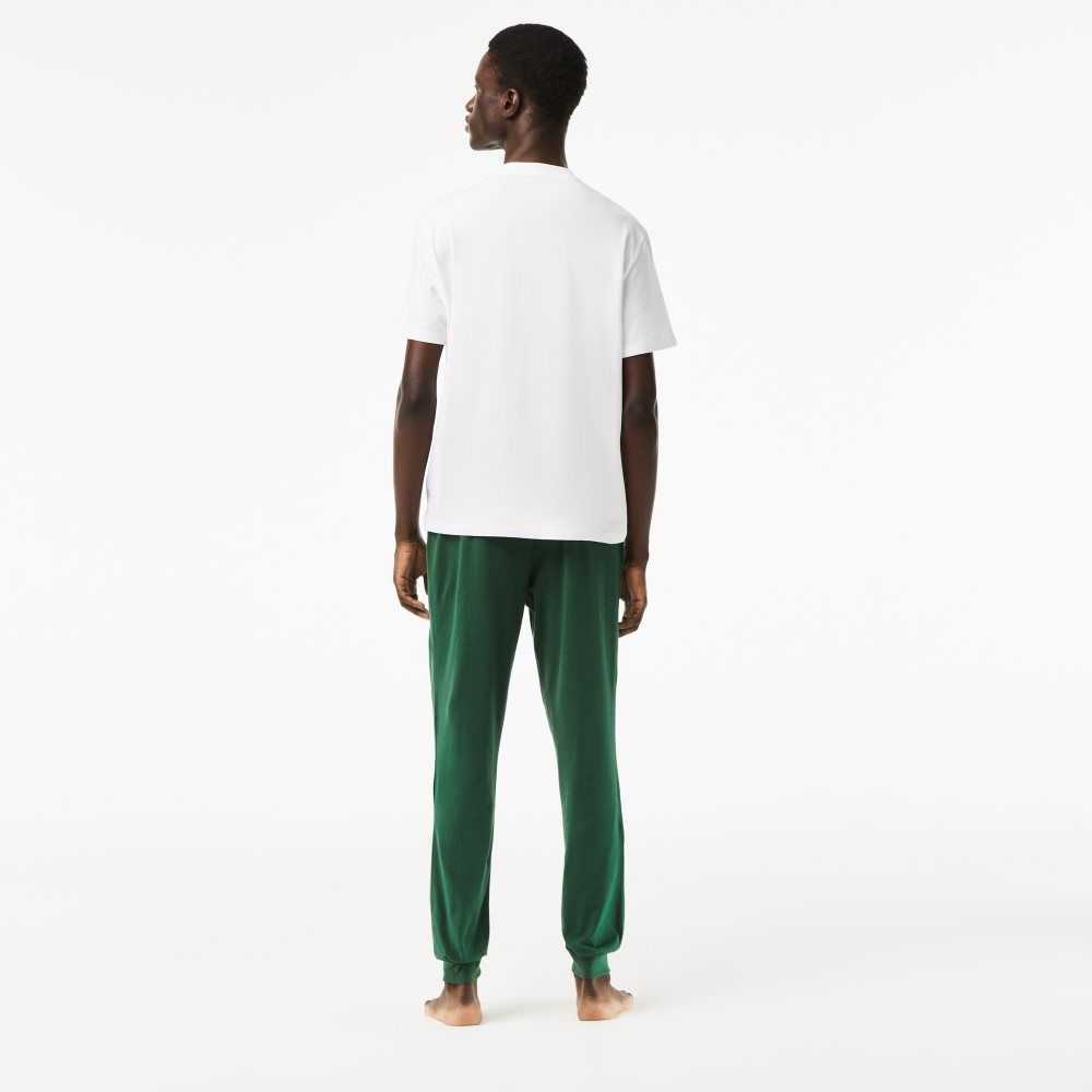 Lacoste Bomull Jersey Pajama Set Hvite Grønn | 8350-JHOXW