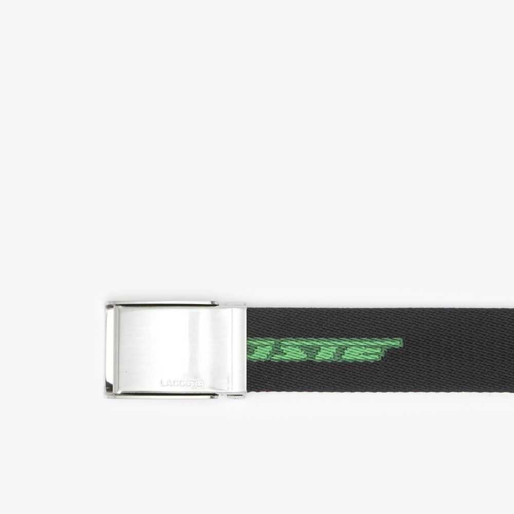 Lacoste Contrast Logo Print Belt Multicolor | 0917-WYCUV