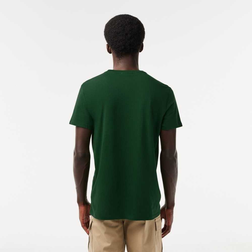 Lacoste Crew Neck Pima Bomull Jersey Grønn | 3157-CLTMY