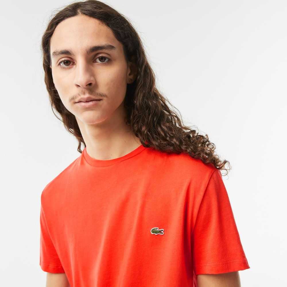 Lacoste Crew Neck Pima Bomull Jersey Oransje | 4902-HIZYE