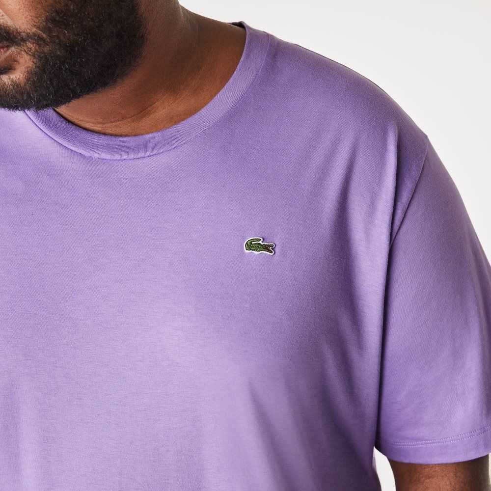 Lacoste Høye Fit Pima Bomull Jersey Lilla | 7032-VRYUG