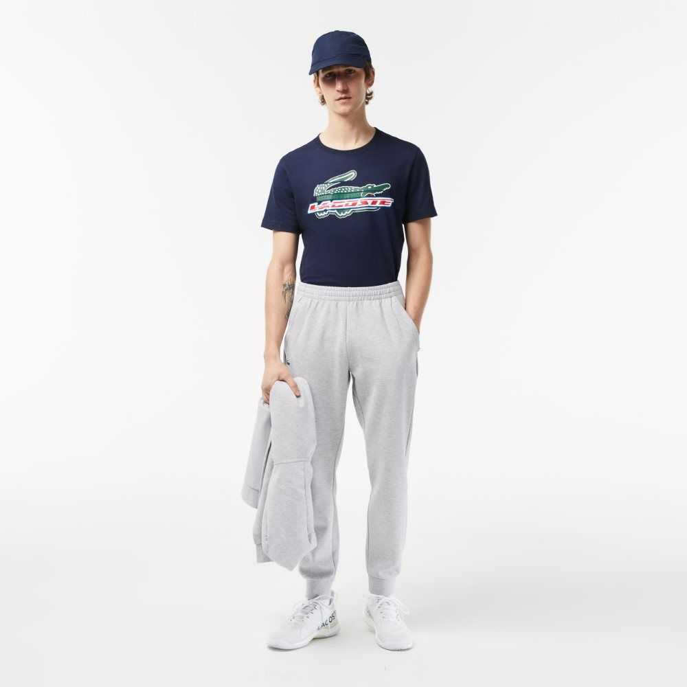 Lacoste Mesh Panels Trackpants Grå Lyse Grå | 9304-JSNVQ