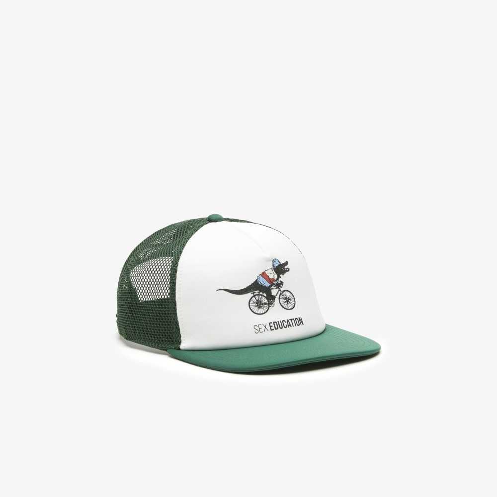 Lacoste Netflix Grønn | 3861-MFDWT