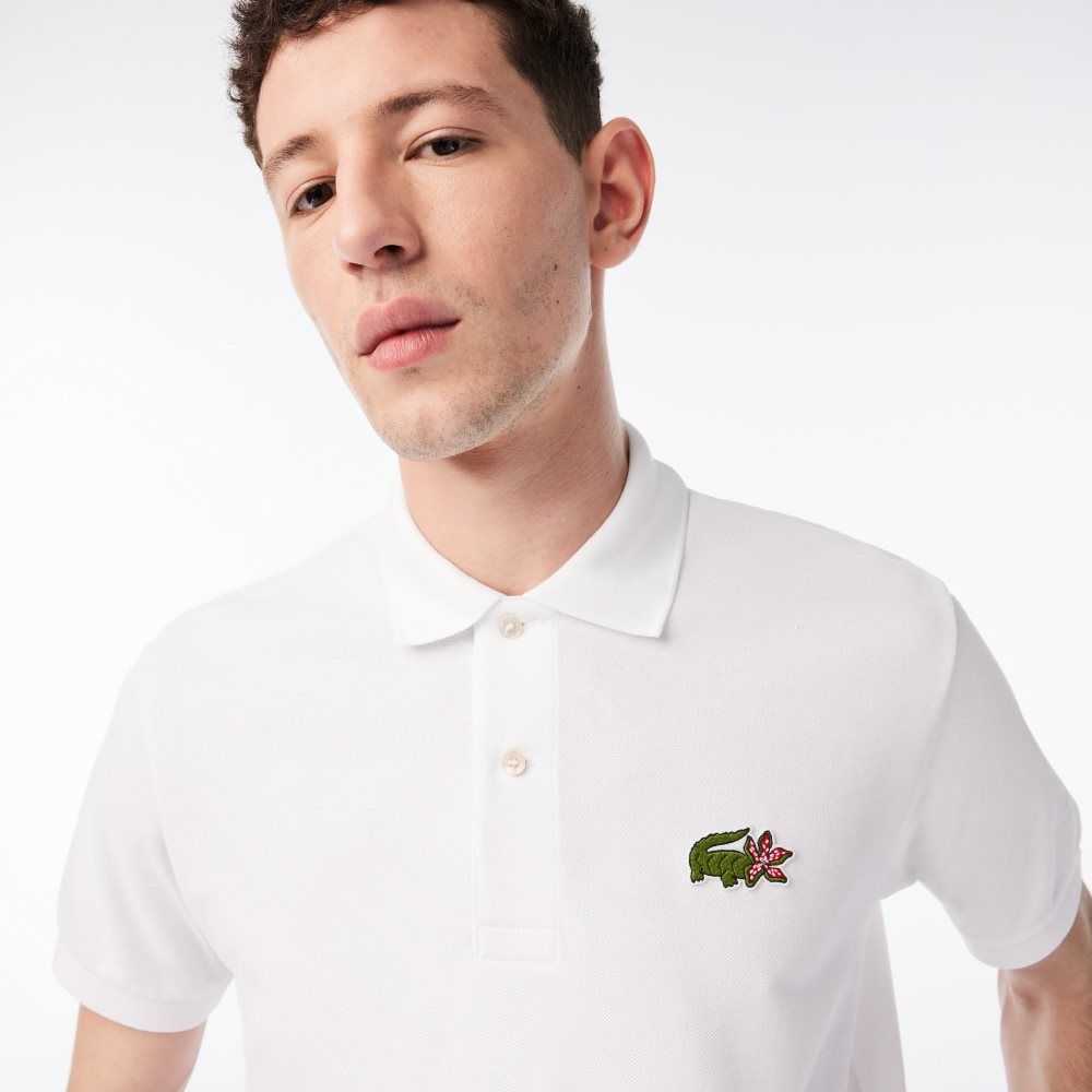 Lacoste Netflix Organic Bomull Multicolor | 5786-YXRZL