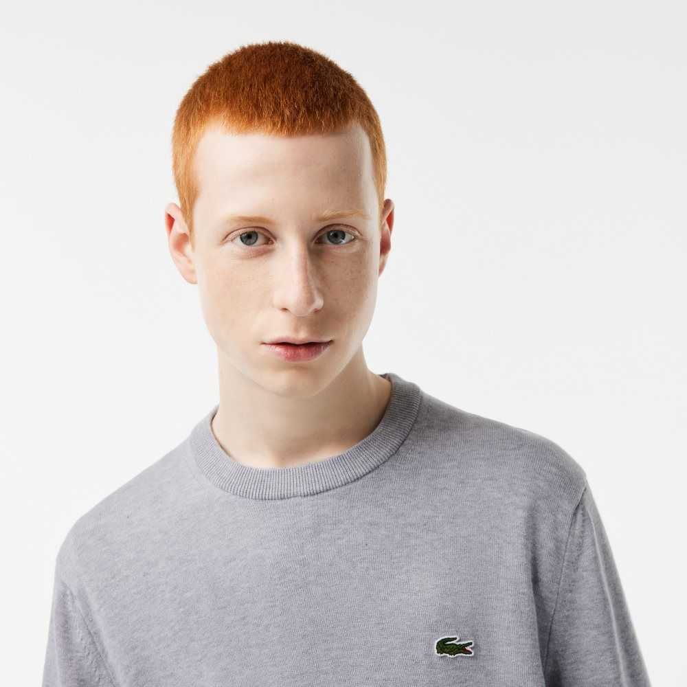 Lacoste Organic Bomull Crew Neck Grå | 0489-ZEDOG