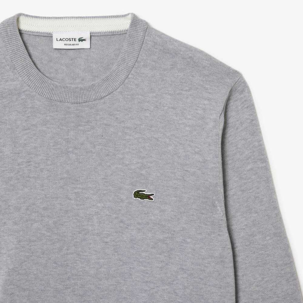 Lacoste Organic Bomull Crew Neck Grå | 0489-ZEDOG