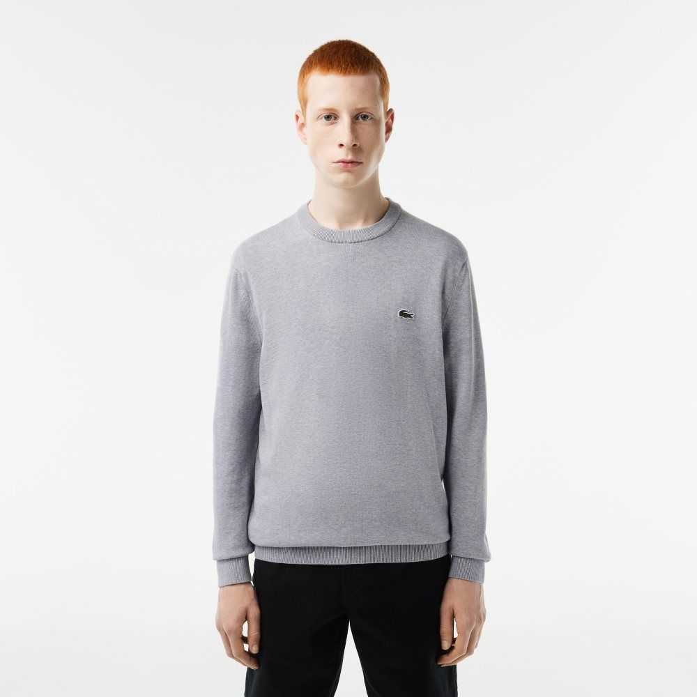 Lacoste Organic Bomull Crew Neck Grå | 0489-ZEDOG