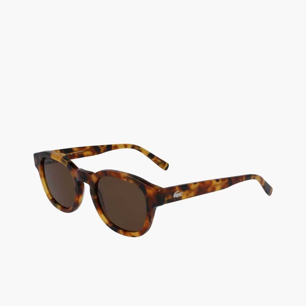 Lacoste Oval Bio Acetate National Geographic Multicolor | 2670-YPZIG