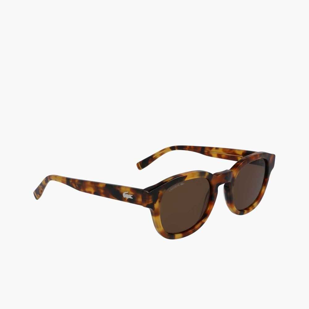 Lacoste Oval Bio Acetate National Geographic Multicolor | 2670-YPZIG