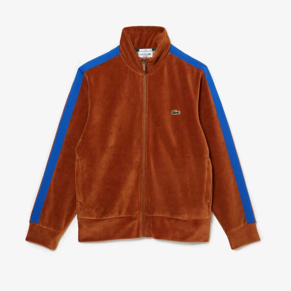 Lacoste Regular Fit Velvet Zip Sweatshirt Brune | 0697-JPKUG