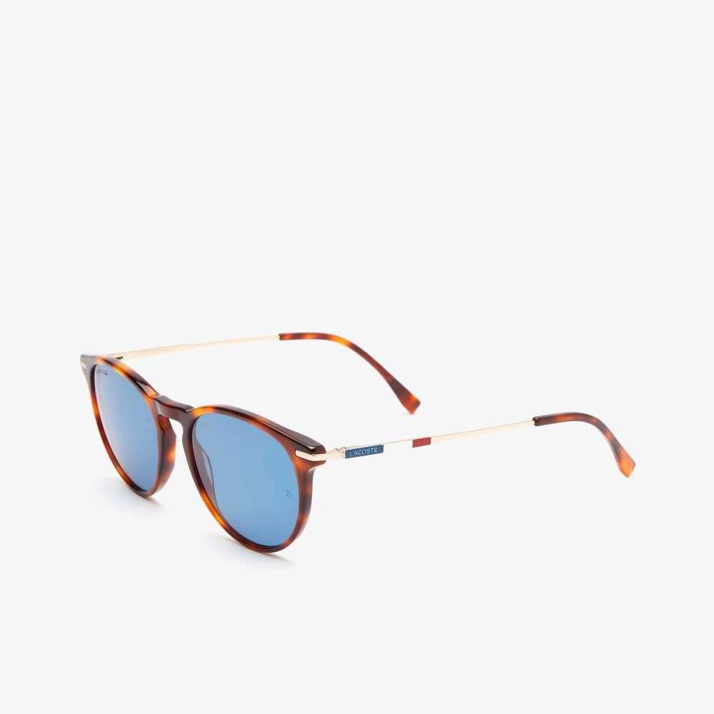 Lacoste Round Acetate Novak Djokovic Multicolor | 9234-XWNZD