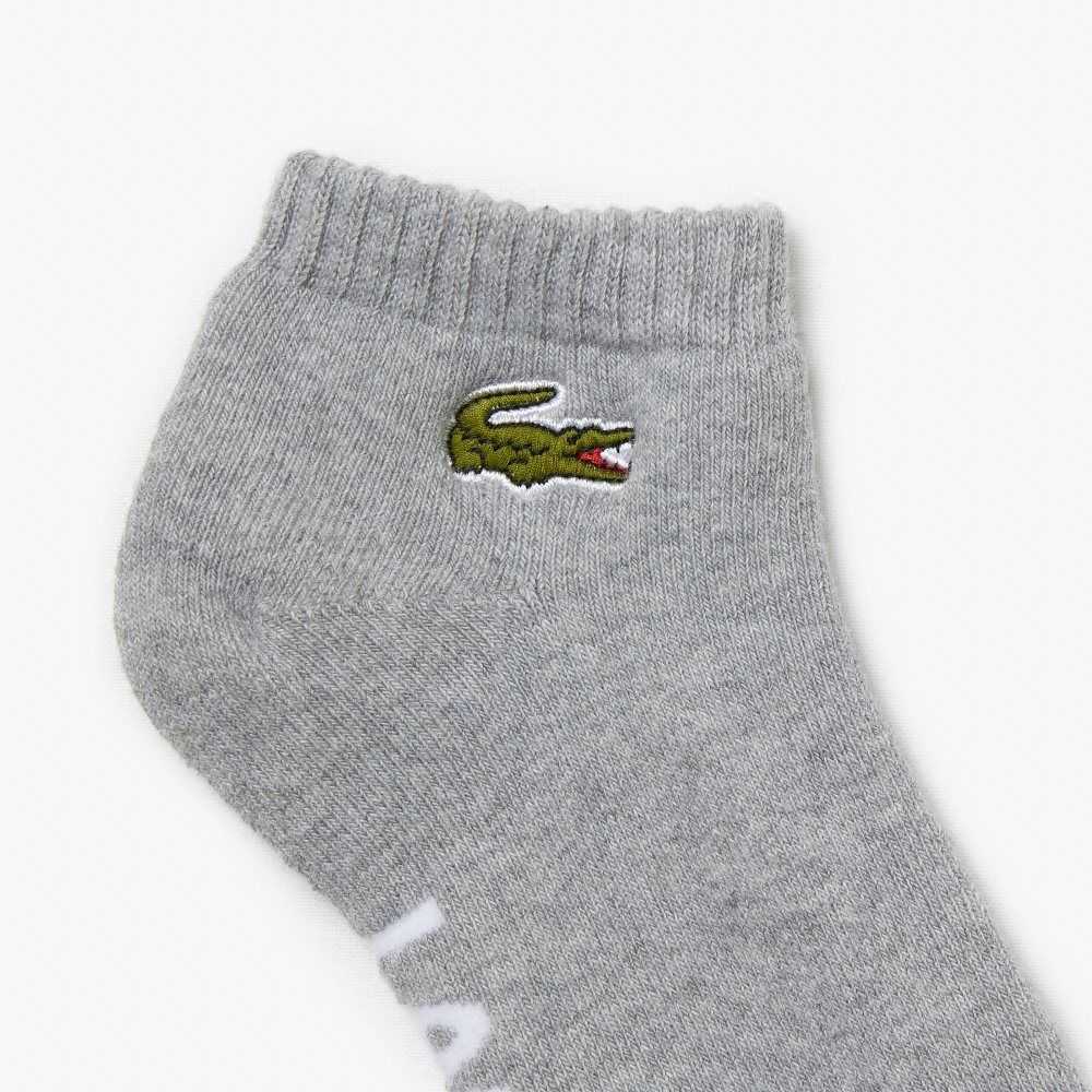 Lacoste SPORT Branded Stretch Bomull Low-Cut Grå Hvite | 7549-DSOJX