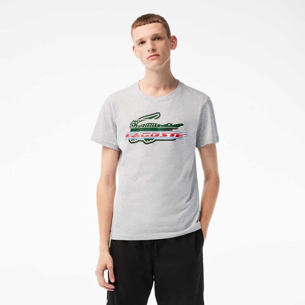 Lacoste SPORT Regular Fit Organic Bomull Grå | 8405-AYFZI