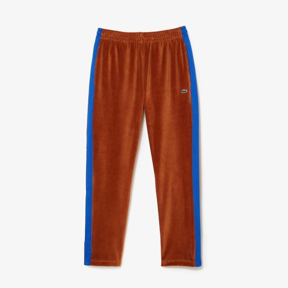 Lacoste Side Contrast Band Trackpants Brune | 9173-OCKJF