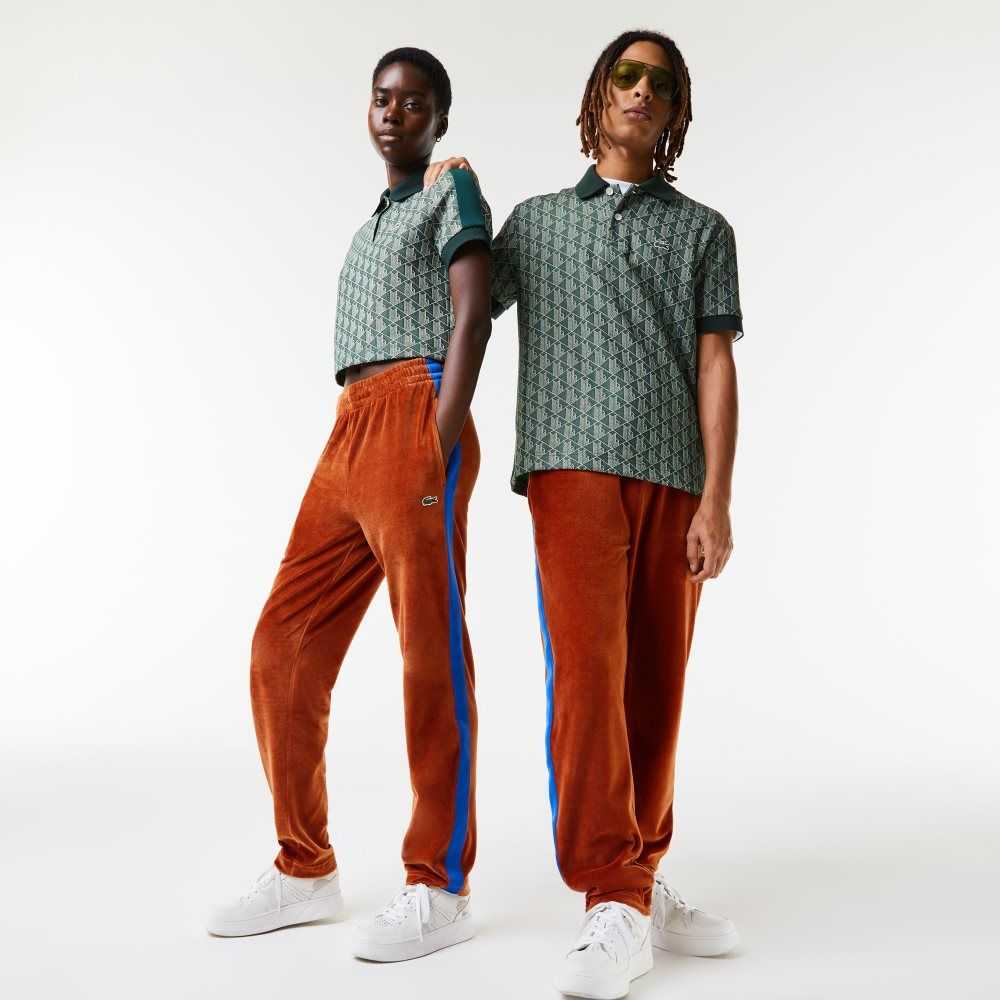 Lacoste Side Contrast Band Trackpants Brune | 9173-OCKJF