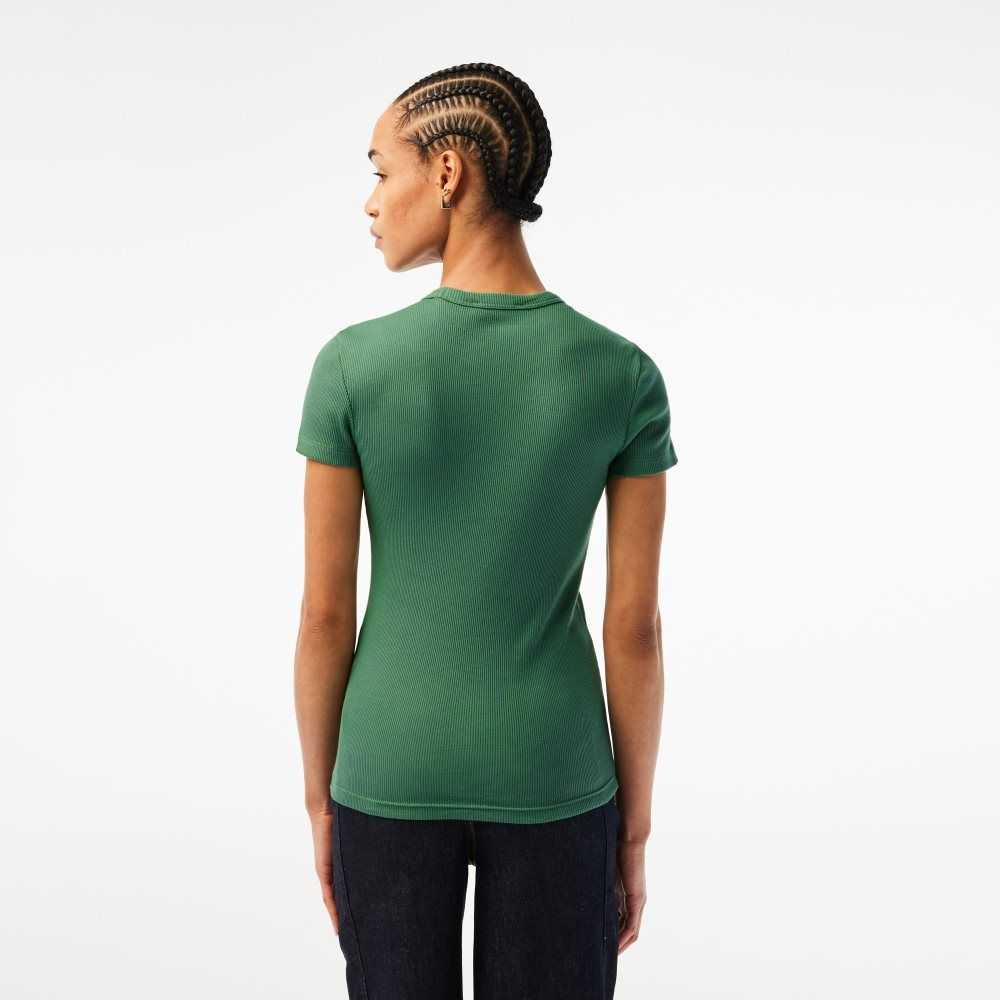 Lacoste Slim Fit Organic Bomull T-Shirt Khaki Grønn | 5206-PHSZV