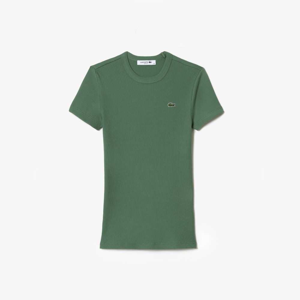 Lacoste Slim Fit Organic Bomull T-Shirt Khaki Grønn | 5206-PHSZV