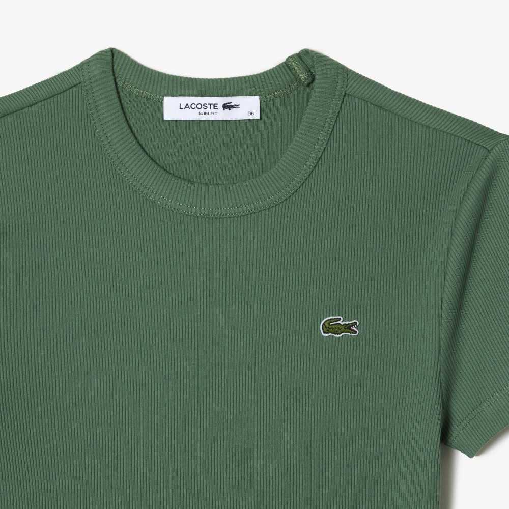 Lacoste Slim Fit Organic Bomull T-Shirt Khaki Grønn | 5206-PHSZV