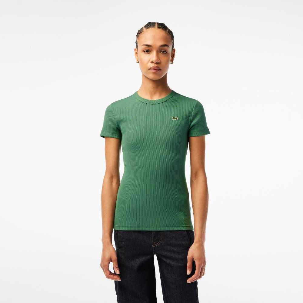 Lacoste Slim Fit Organic Bomull T-Shirt Khaki Grønn | 5206-PHSZV