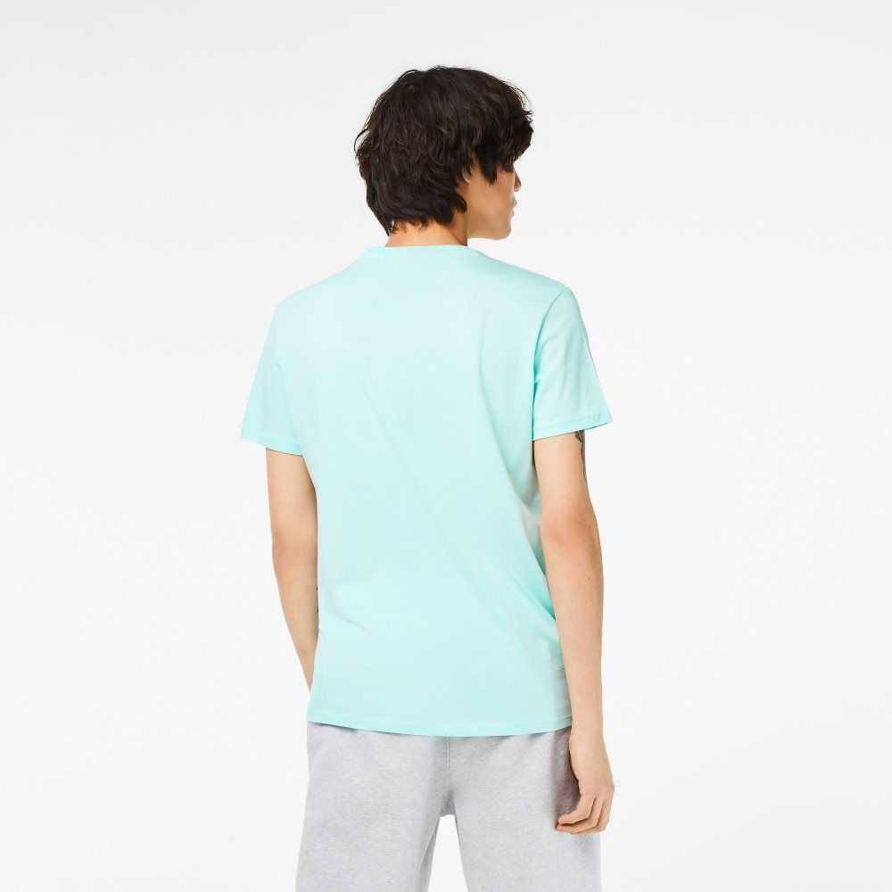 Lacoste V-Neck Pima Bomull Jersey Mint | 8731-PZOGB