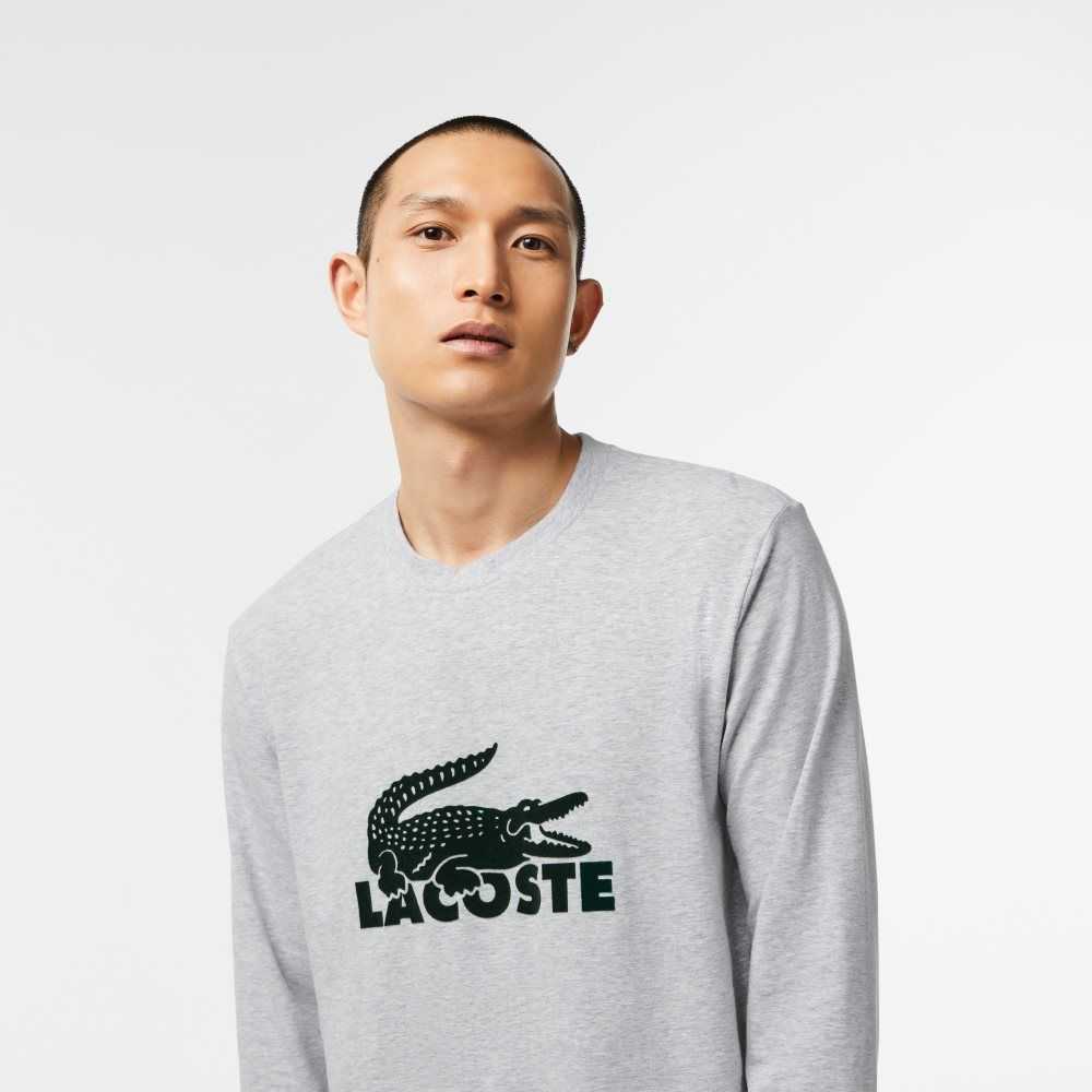 Lacoste Velvet Logo Long Pajama Set Marineblå Blå Grå Grønn | 0176-TGSYF